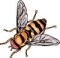 Biene